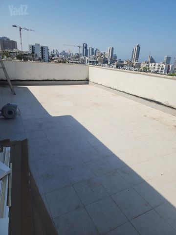 החשמונאים 