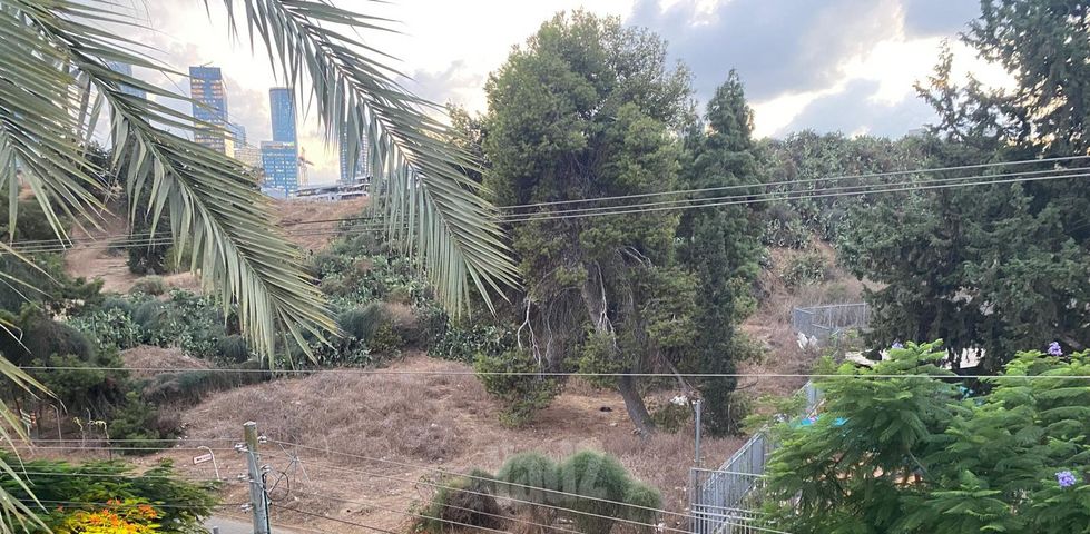 רוקח 