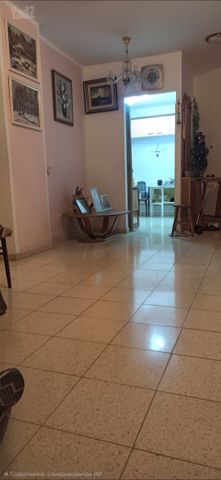 שלמה קליין 13