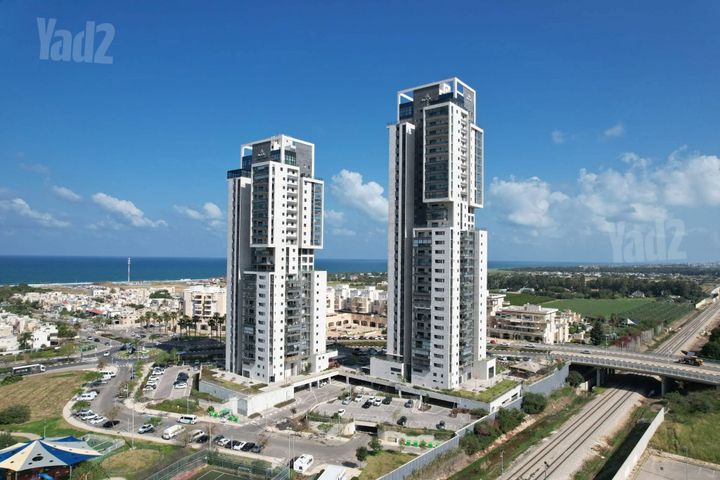פלמינגו 1