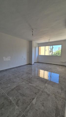 יהודה הלוי 
