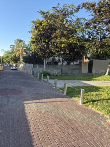 סחלב 3