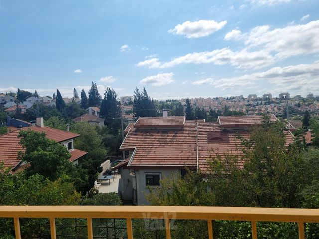 הדס 60