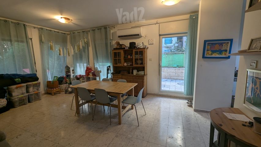 שניאור פלג 3