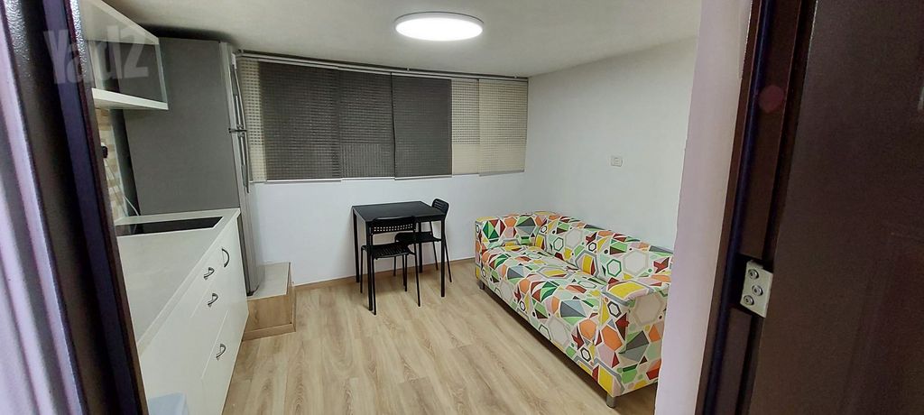 הדקל 40
