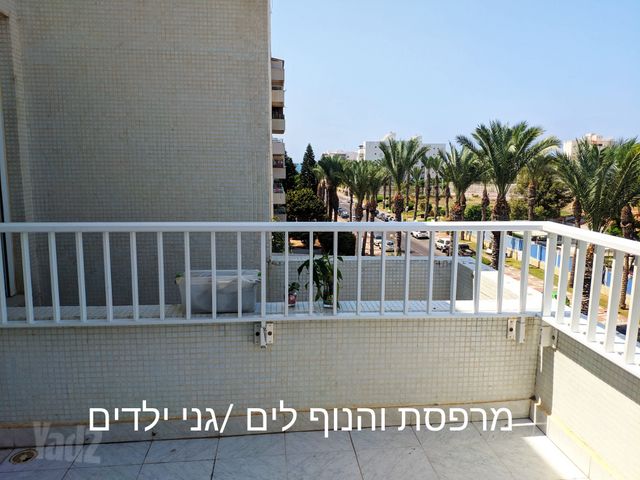 השקד 19