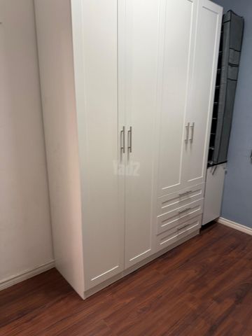 הורוביץ 23