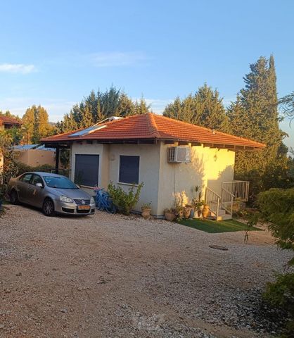 השזיף 4