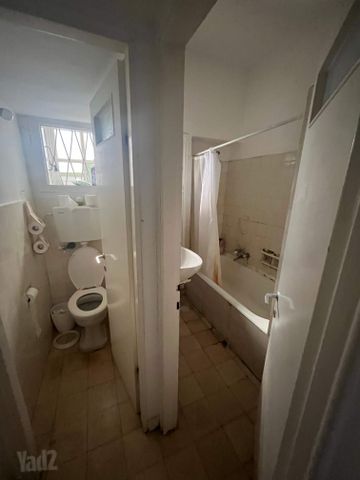 דניאל פריש 6
