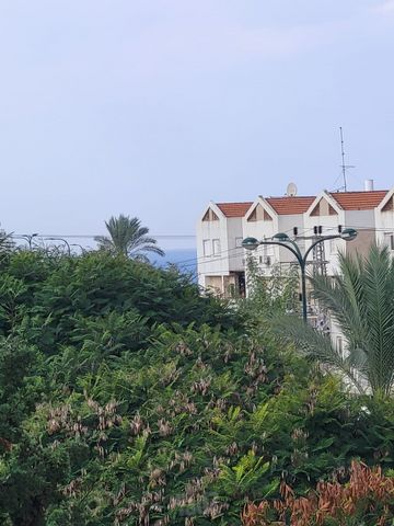 חבצלת החוף 12