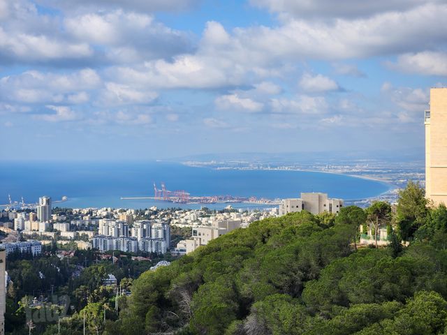 ד"ר ארתור בירם 