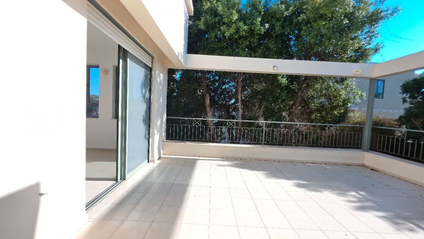 צבעוני 