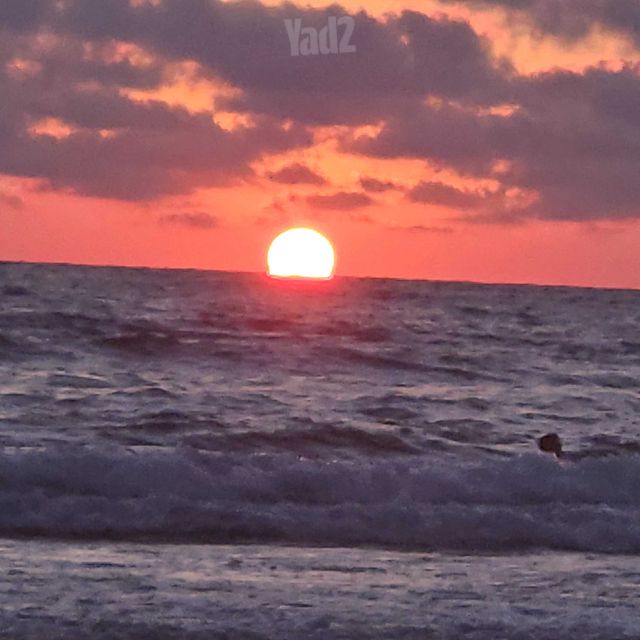 דו משפחתי, נתניה