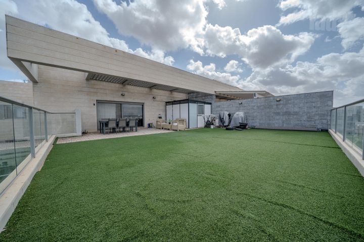 תאנה 15