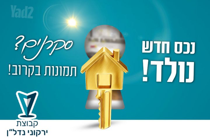 אשל 