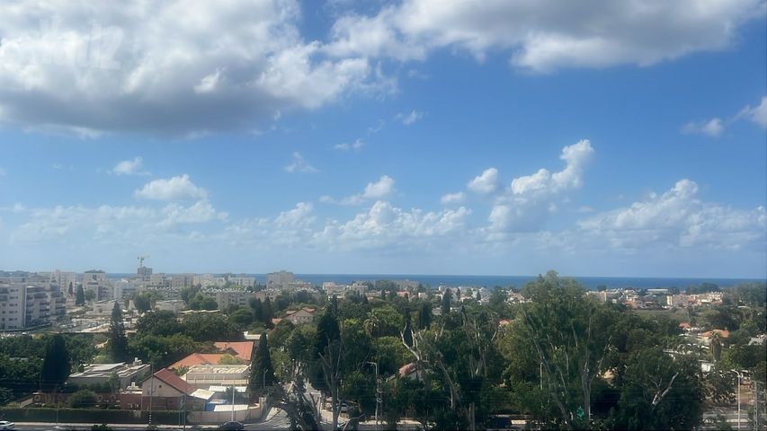 יצחק שמיר