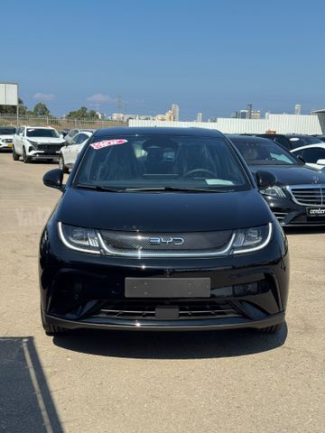 מודעת רכב בי.ווי.די דולפין 2