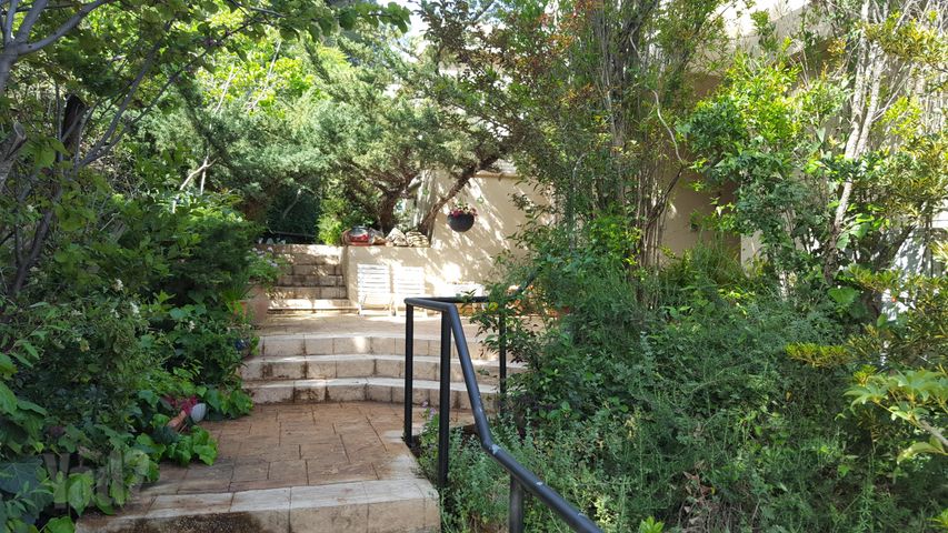 שניר 77