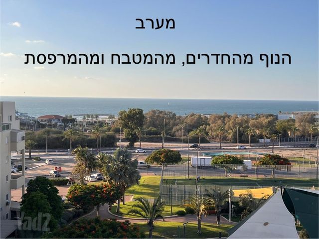 שילה 3