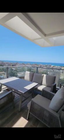 אריק איינשטיין 14