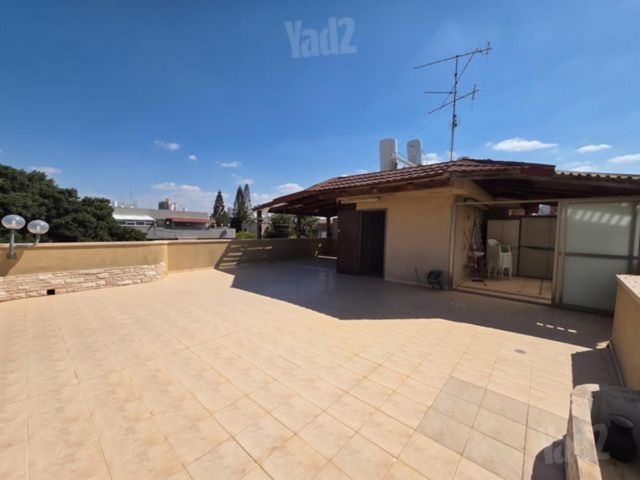 בילינסון 25