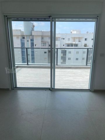 עולש מצוי 14