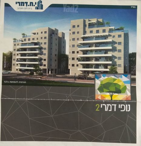 כלנית 4