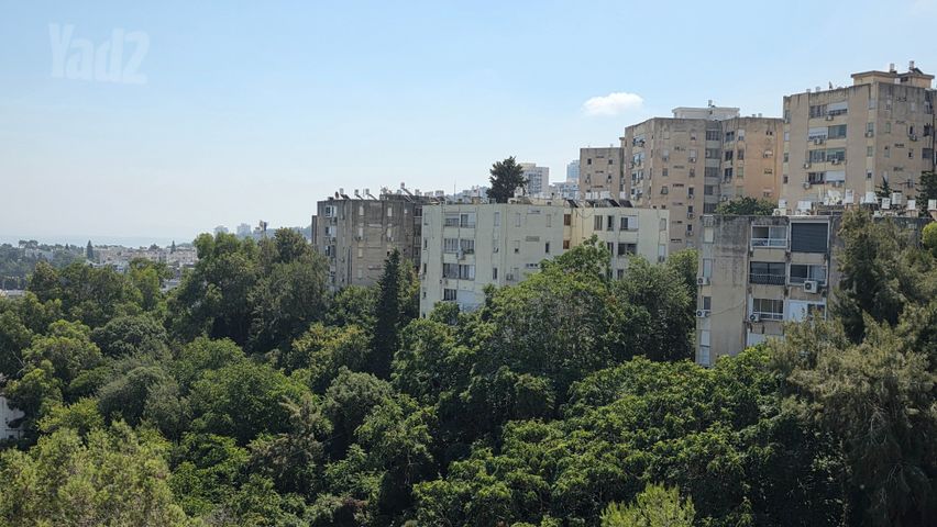 יהודה בורלא 