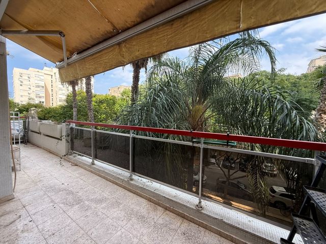 יוסף פעמוני 10