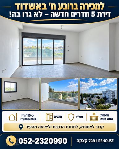 הכלנית 