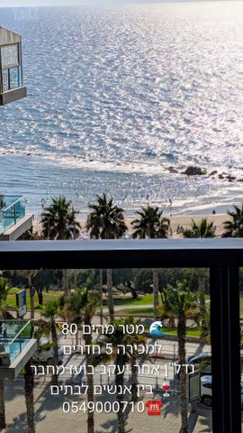 סוקולוב 12