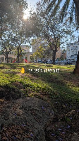נרדור 
