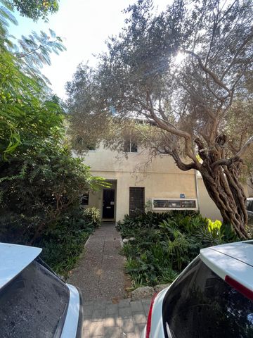 הזית 