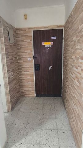 מרדכי נמיר 