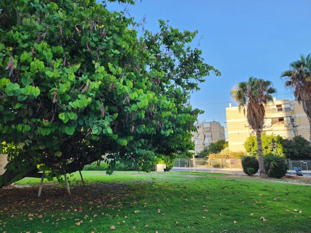 סמטת הצפורנים 