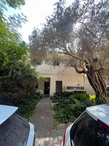 הזית 