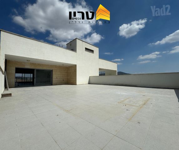 אדמונית 