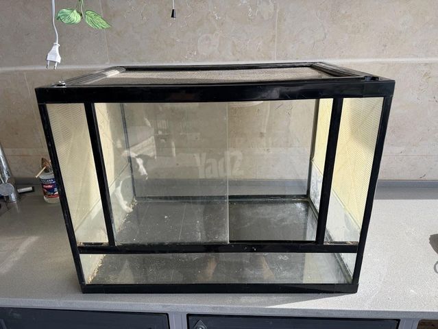 תמונת מודעה - חיות מחמד