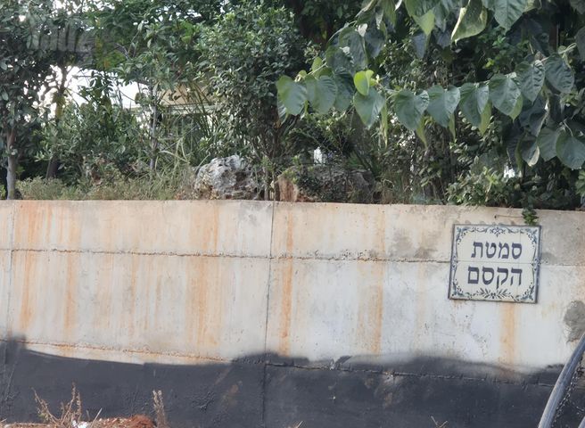 תלפיות 9