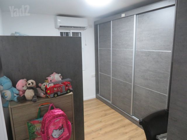 האורן 27