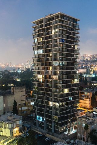 אחד העם 8