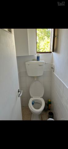 אחד העם 6