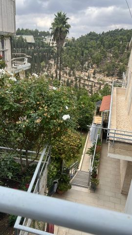 שמריהו לוין 12