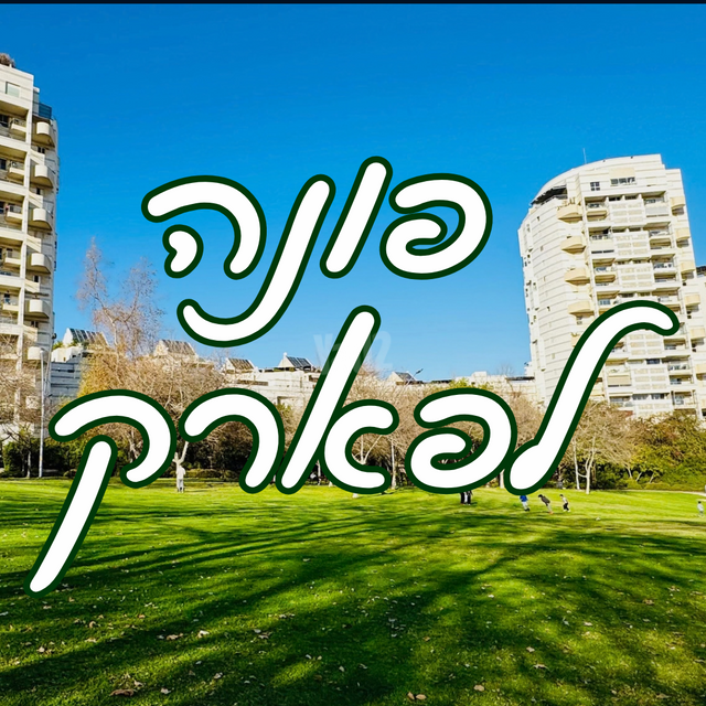 שמעון בן צבי 