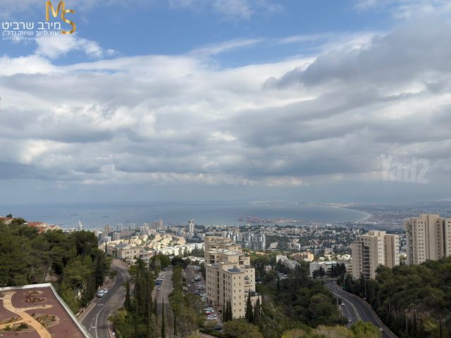 ד"ר ארתור בירם 