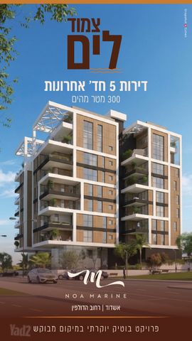 הדולפין 
