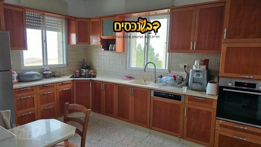 הדקל 