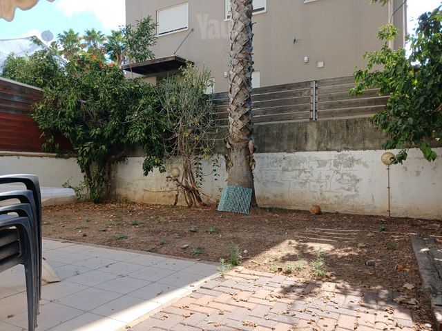 הרצל 