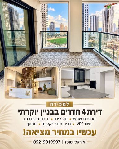 אמנון ליפקין שחק 