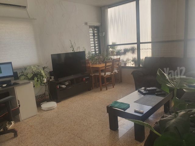 אריה שנקר 29